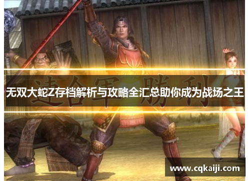 无双大蛇Z存档解析与攻略全汇总助你成为战场之王